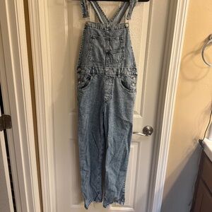 We The Free Ziggy Denim Overalls